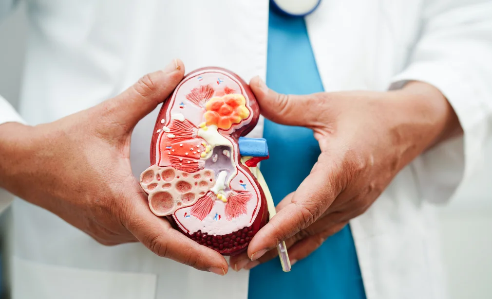 Urology