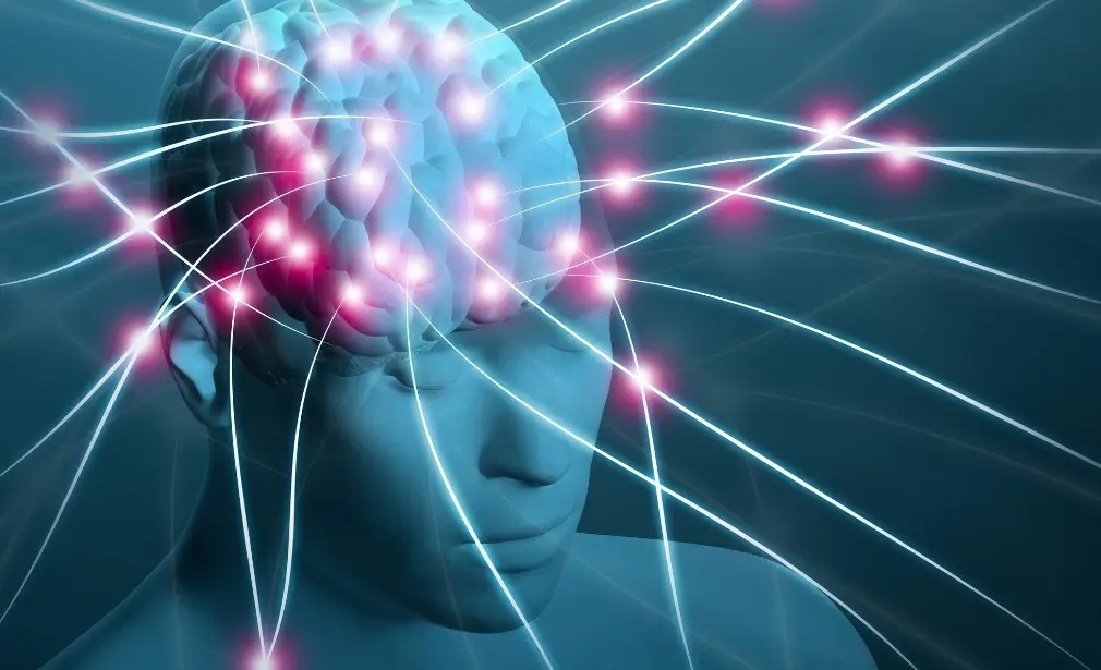 Brain and Spine Surgery